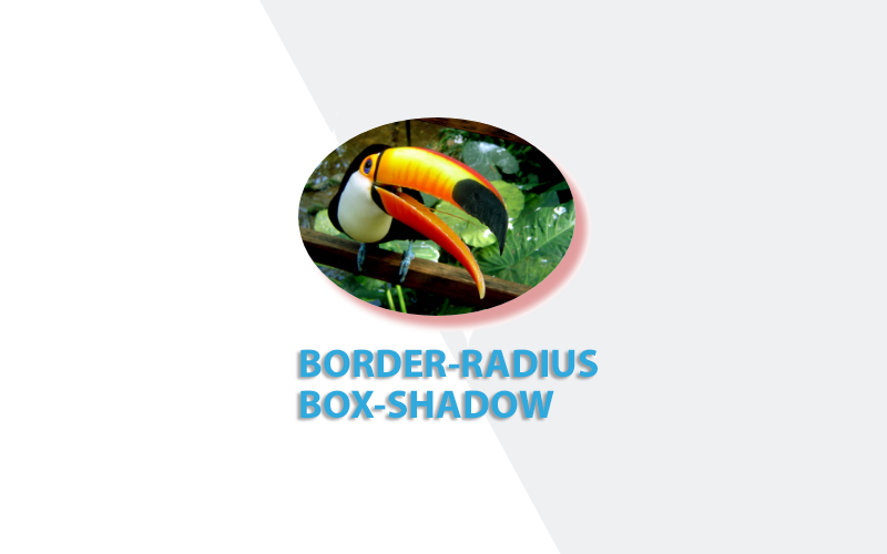 CSS3 Border Radius CSS3 Border Radius