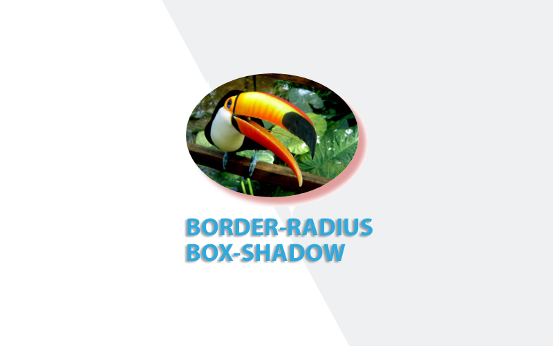 CSS3 Border Radius